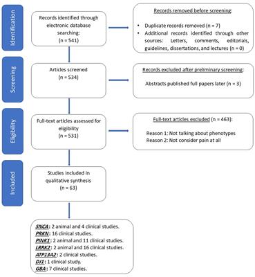 Pain in monogenic Parkinson’s disease: a comprehensive review